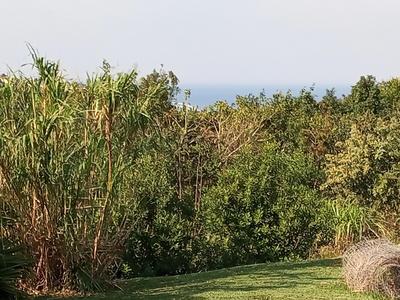 Smallholding  For Sale in Banners Rest, Port Edward