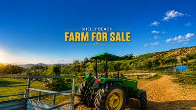 Farm For Sale in Shelly Beach, Shelly Beach